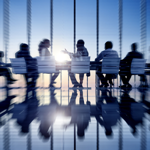 Consultancy (Per Hour)